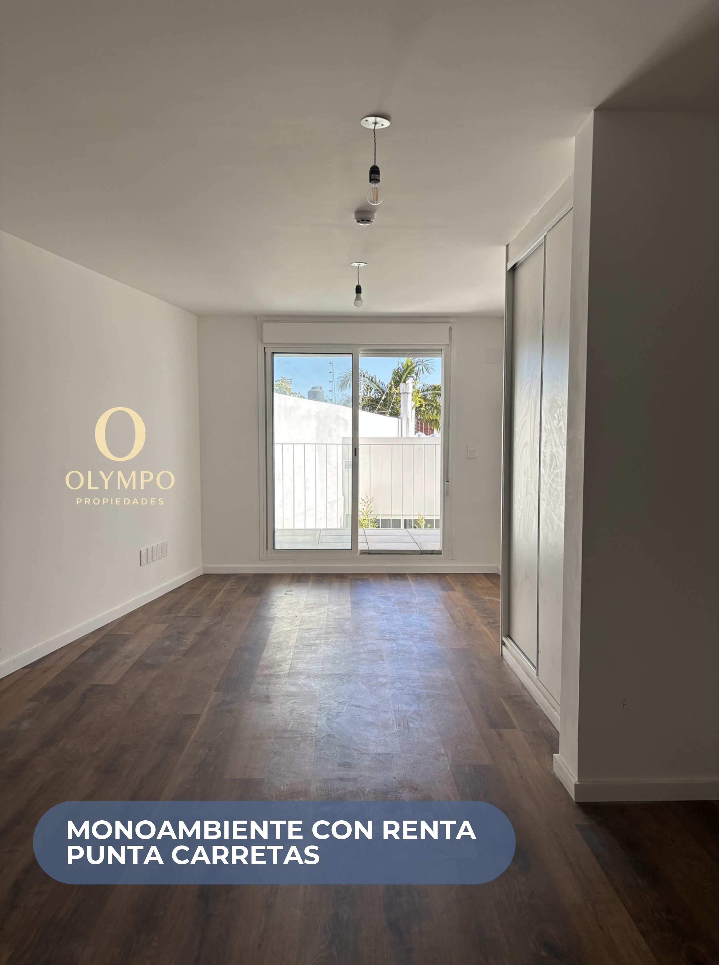 Monoambiente en Punta Carretas